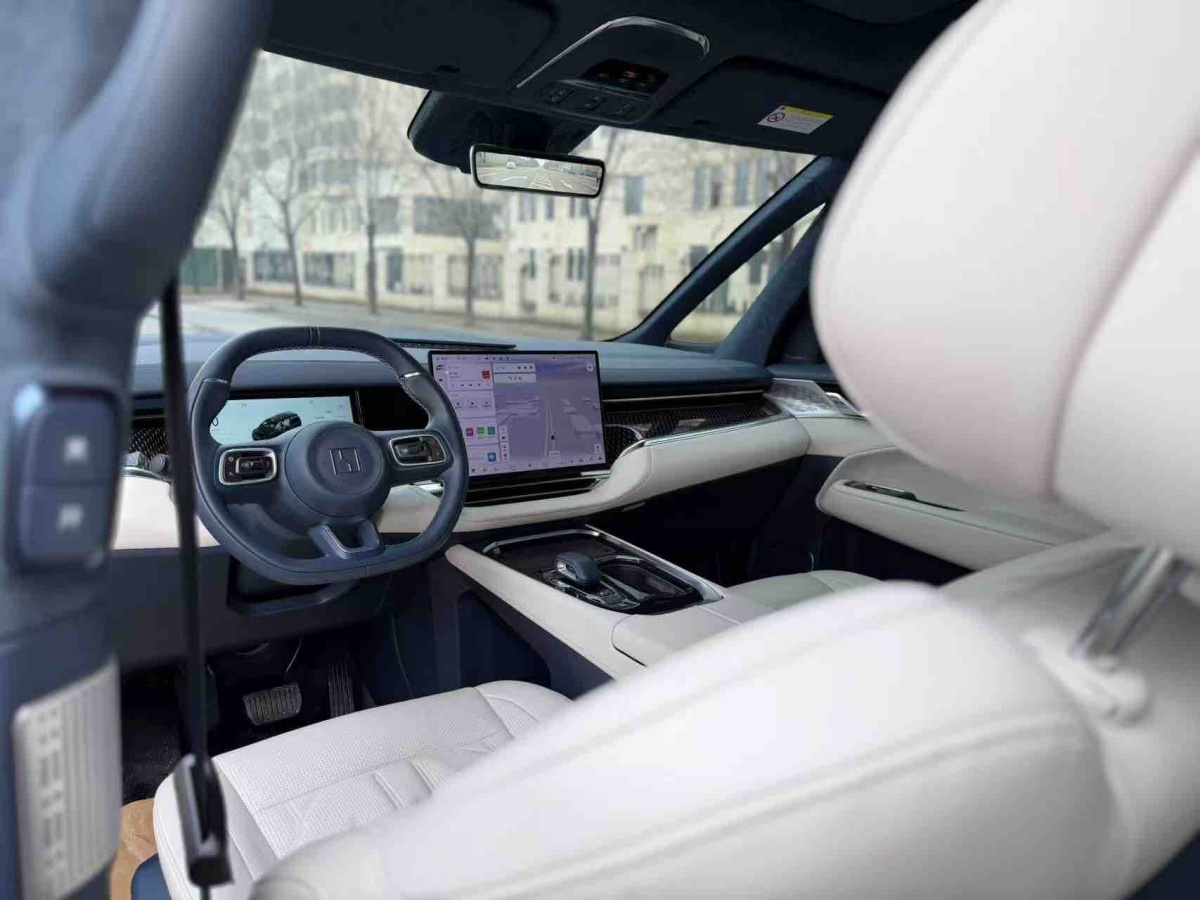 极氪 极氪009 2024 汽车图片 #9