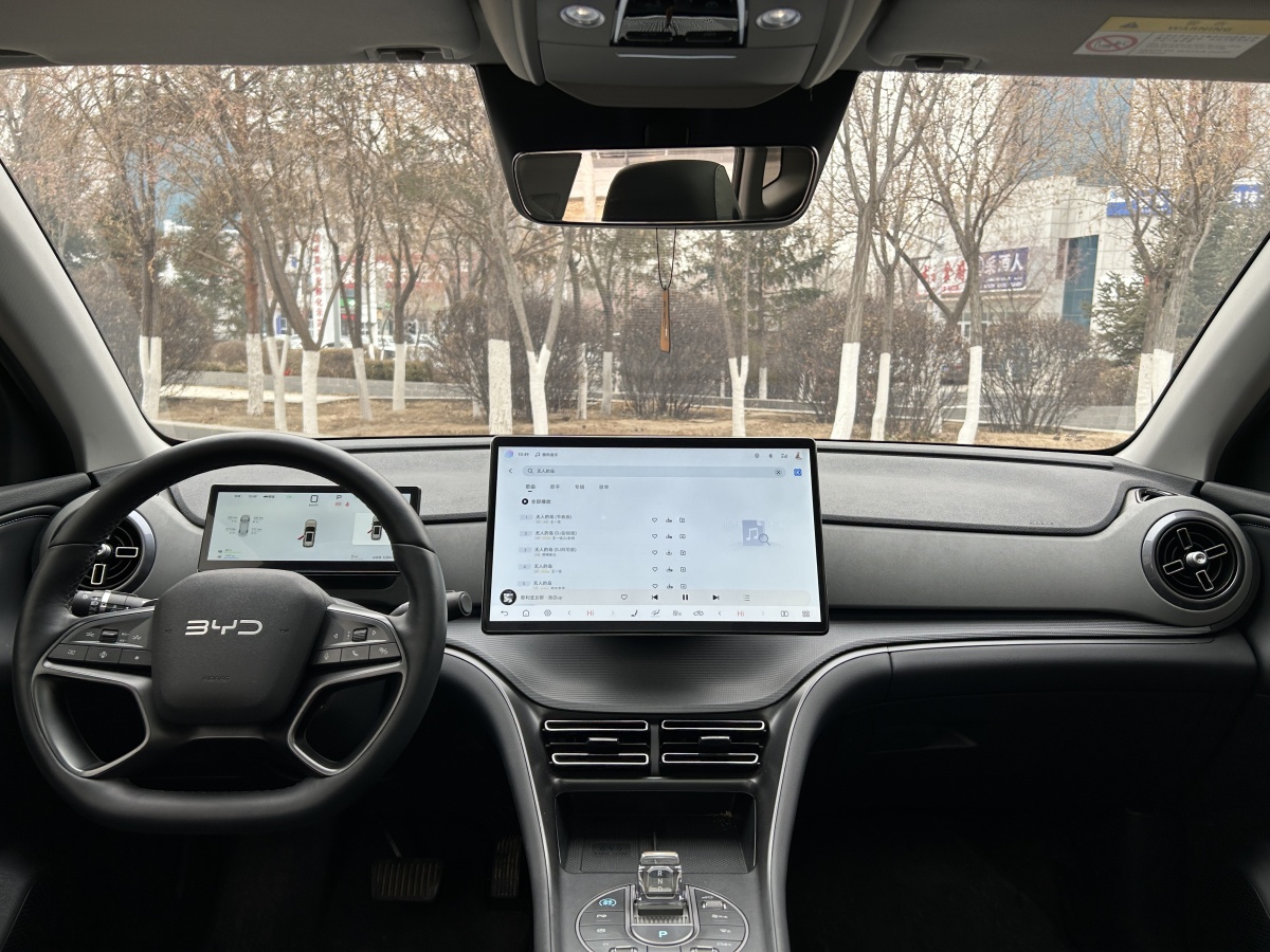 BYD Sea Lion 05 DM-i 2025 car image #9