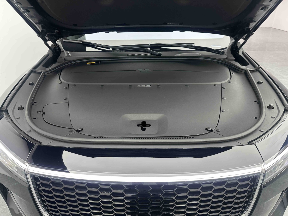 Li One 2021 imagen de coche #9