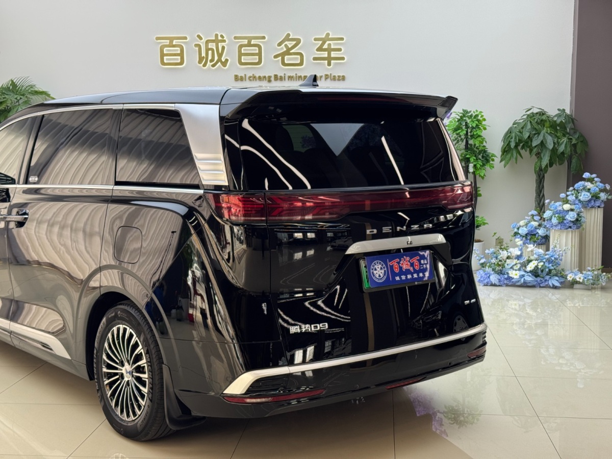 Denza D9 2023 image de voiture #9