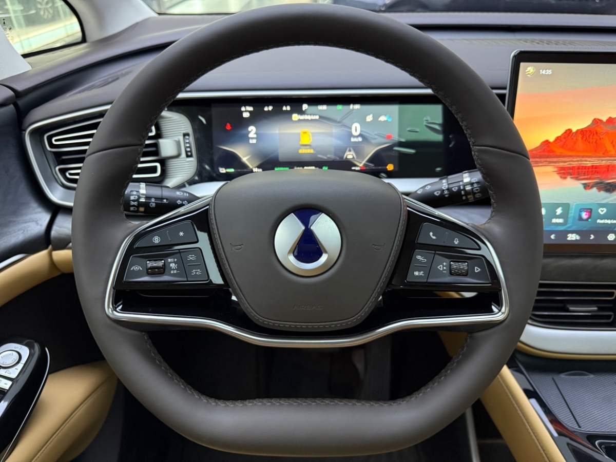 Denza D9 2024 immagine di auto #9