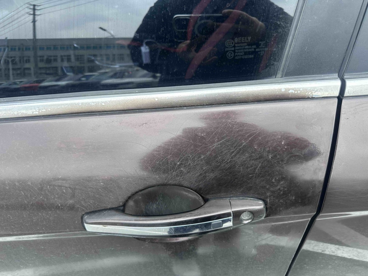 GEELY Emgrand 2018 car image #9