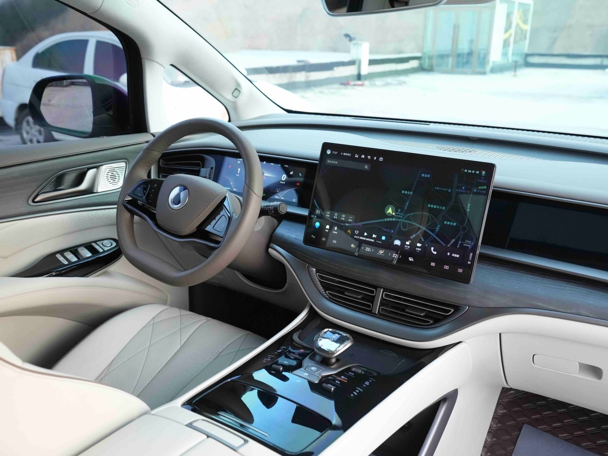 Denza D9 2023 imagem de carro #9