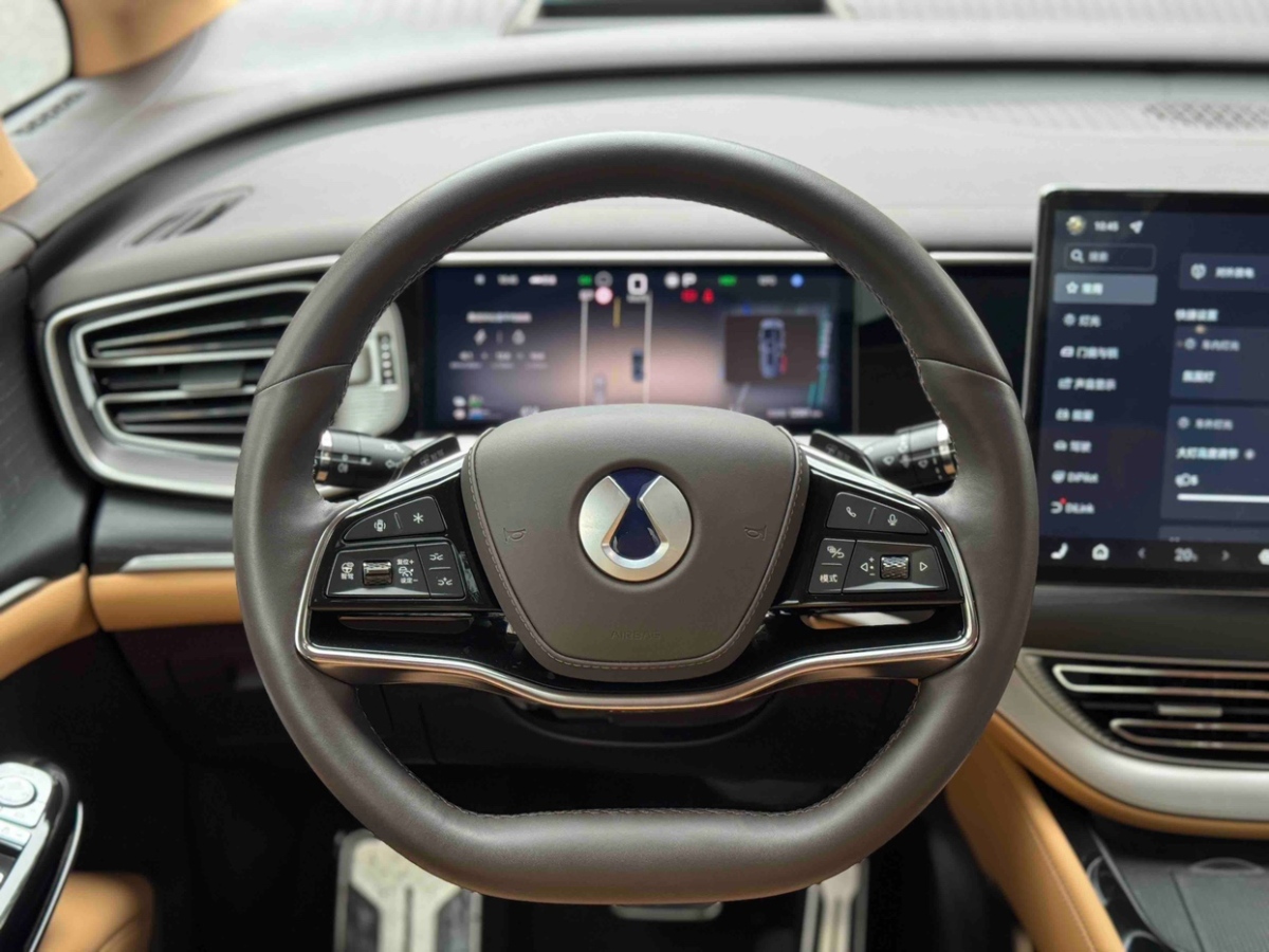 Denza D9 2024 imagen de coche #9