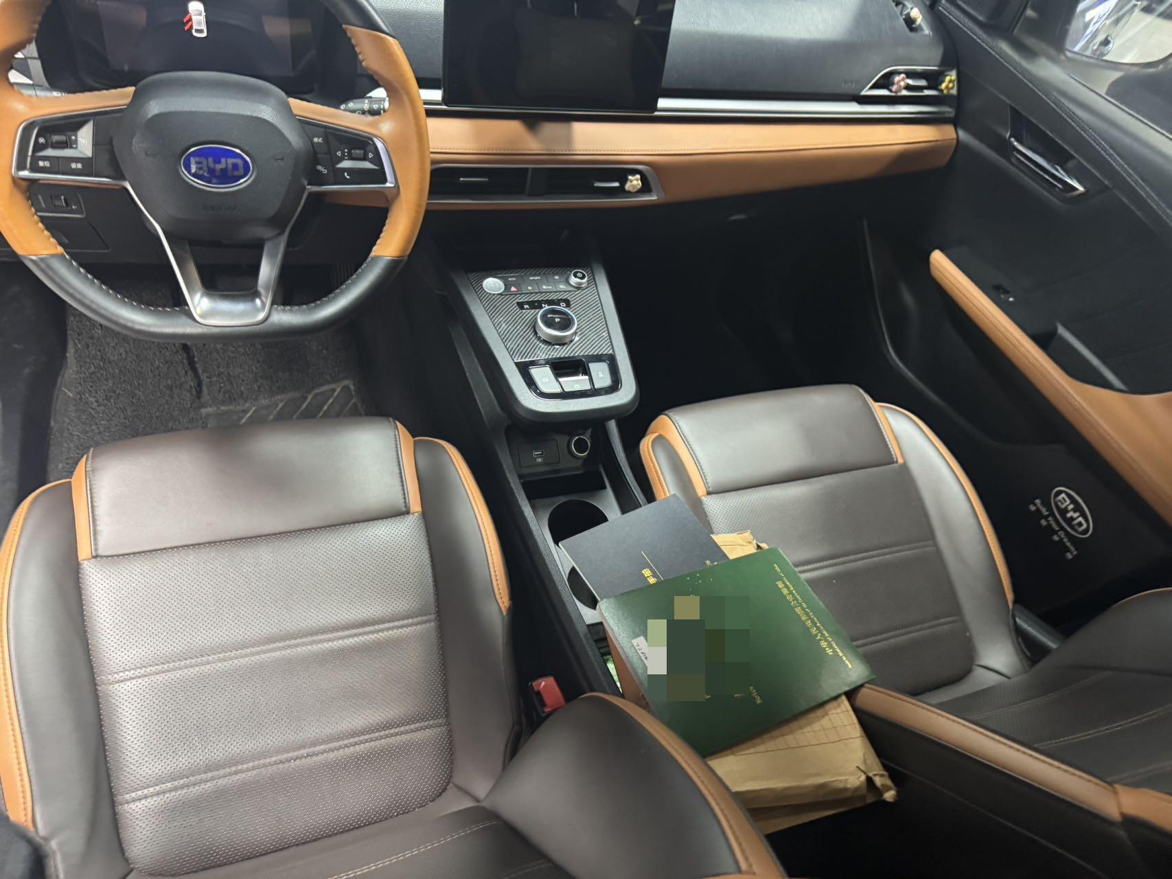 BYD e2 2020 #9 BYD e2 2020 immagine di auto #9