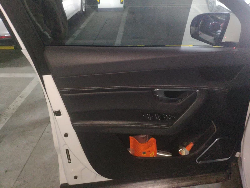 BYD Song Pro 2020 immagine di auto #9