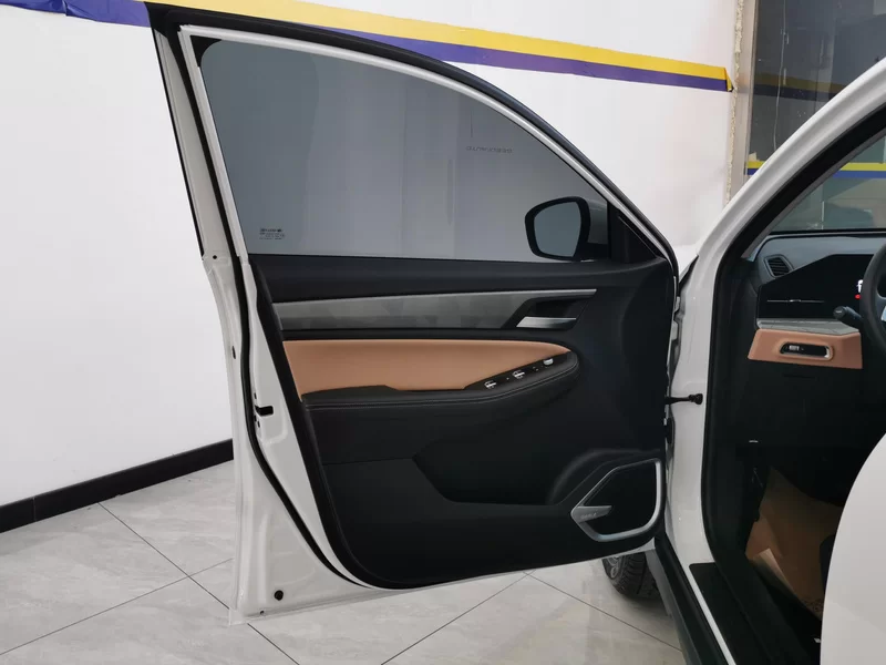 GEELY OkavangoPRO 2024 car image #9