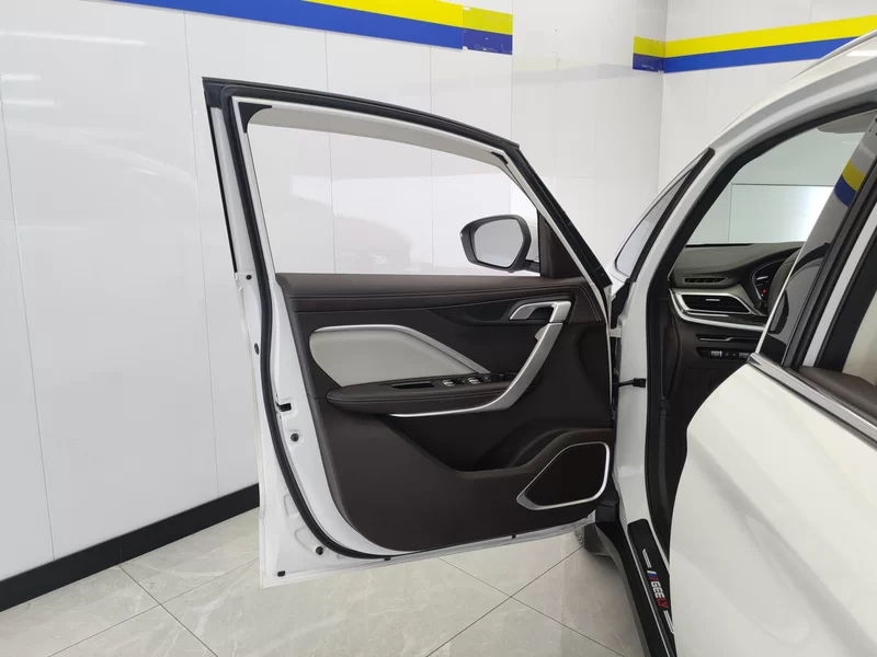 GEELY JiaJi 2021 car image #9