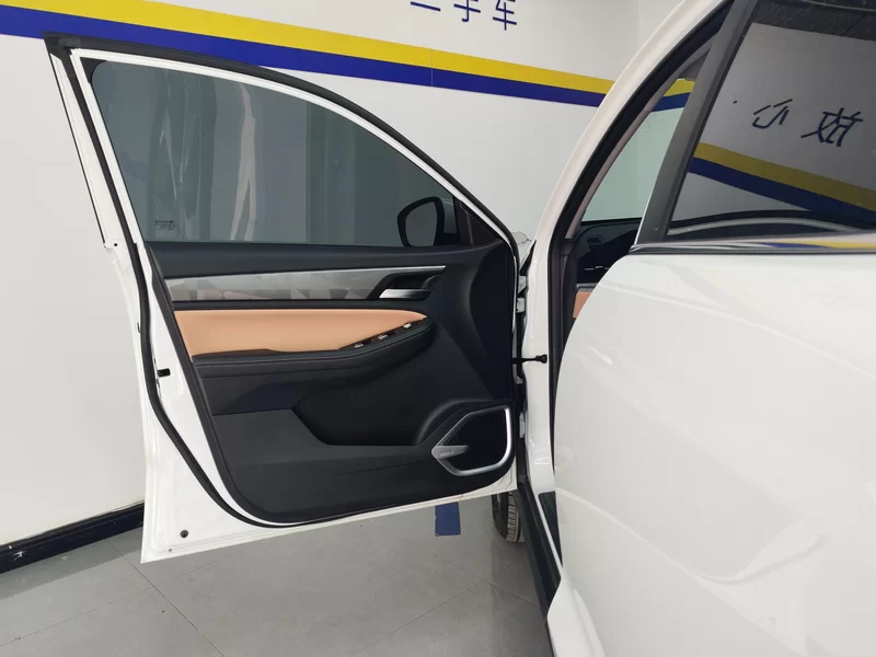 GEELY OkavangoPRO 2024 car image #9