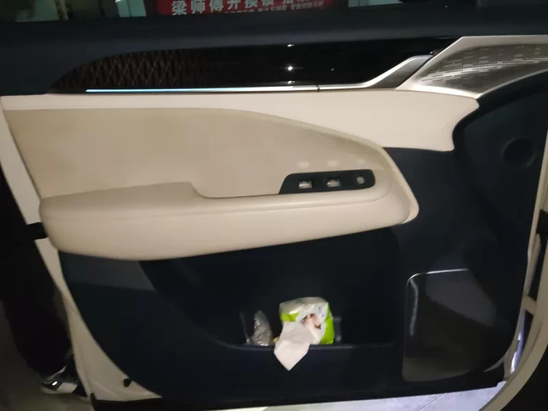 Volkswagen Phideon 2023 car image #9