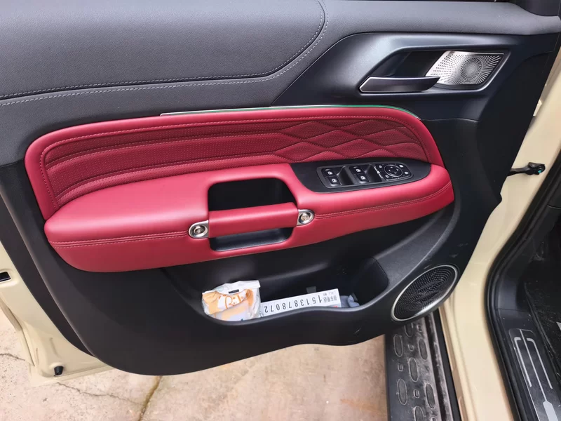 Tank 300 New Energy 2025 car image #9