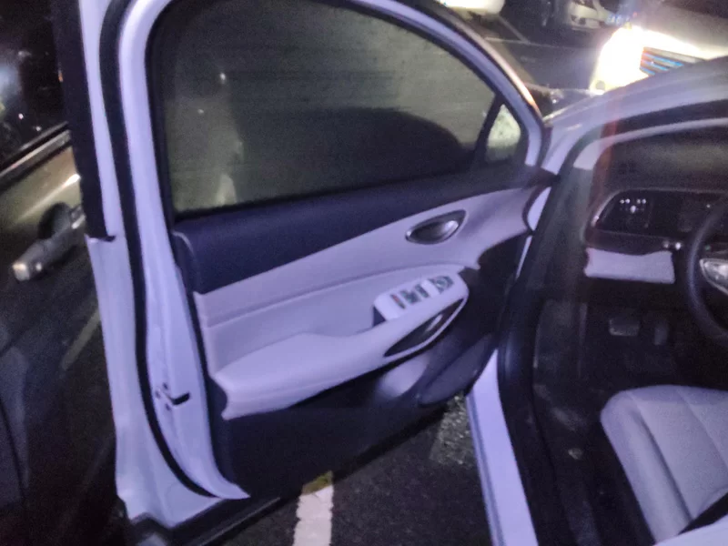 BYD Sea Lion 05 EV 2025 car image #9