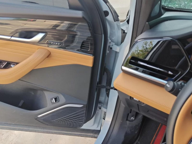 GEELY Monjaro EREV 2023 immagine di auto #9