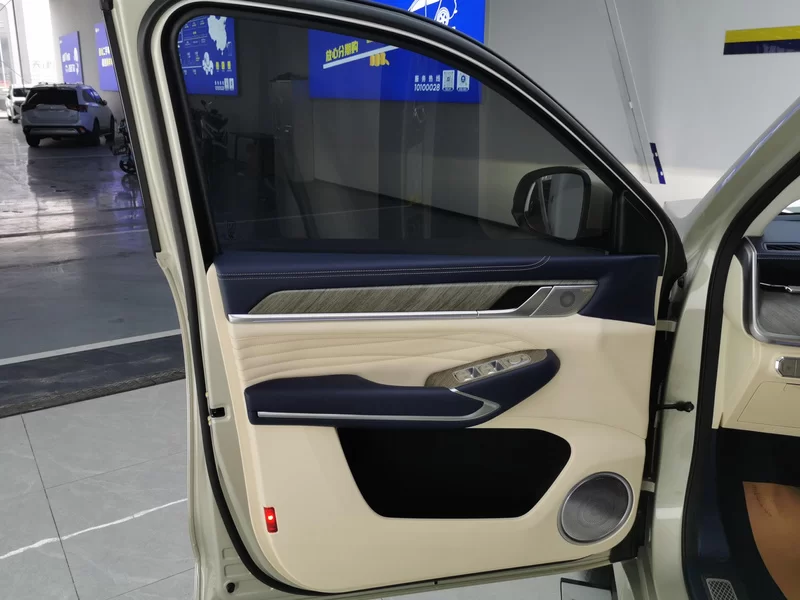 Tank 500 2023 #9 Tank 500 2023 صورة سيارة #9