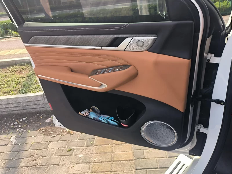 Tank 500 2023 car image #9