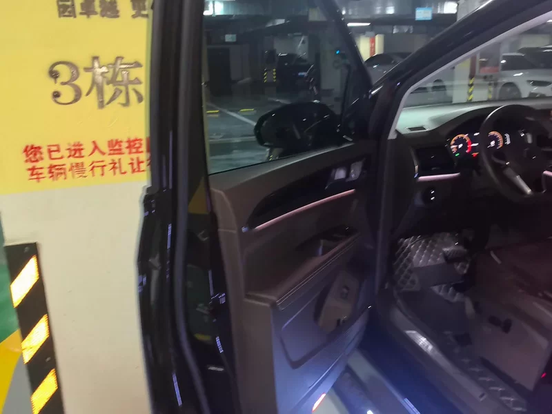 Volkswagen Viloran 2021 car image #9