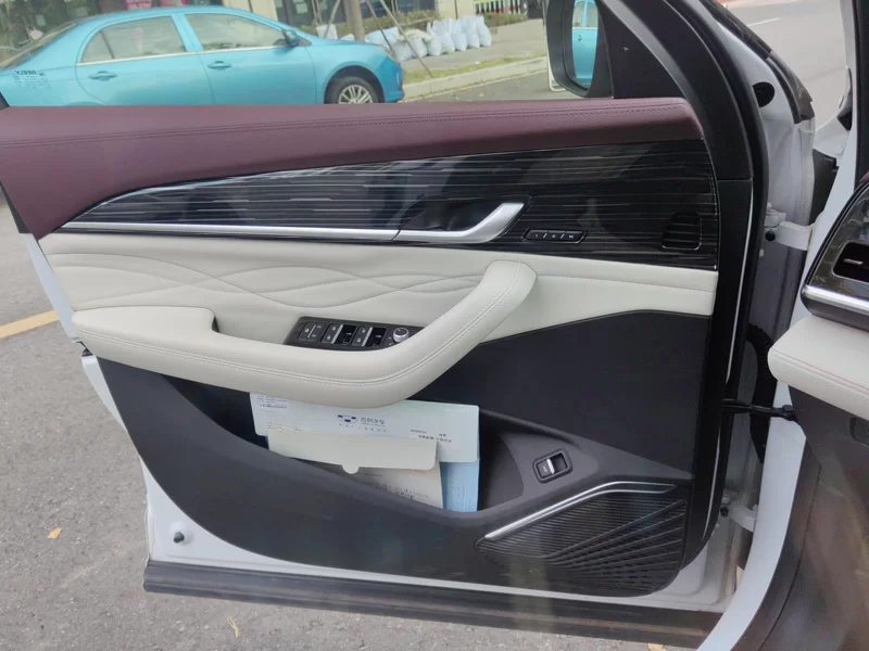 GEELY Tugella 2024 car image #9