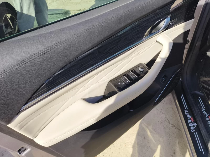 GEELY Tugella 2023 immagine di auto #9