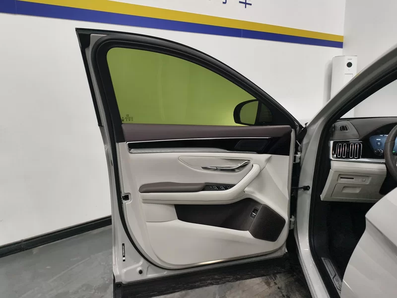 BYD Song Plus New Energy 2025 immagine di auto #9