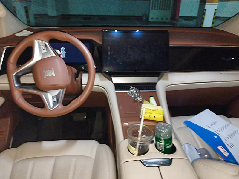 BYD Xia 2024 صورة سيارة #9