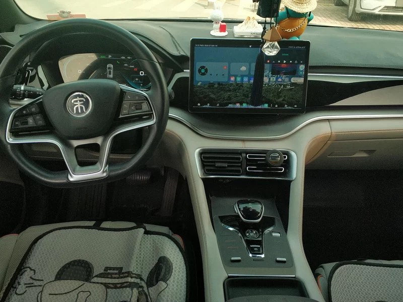 BYD 2022 #9 BYD 2022 immagine di auto #9