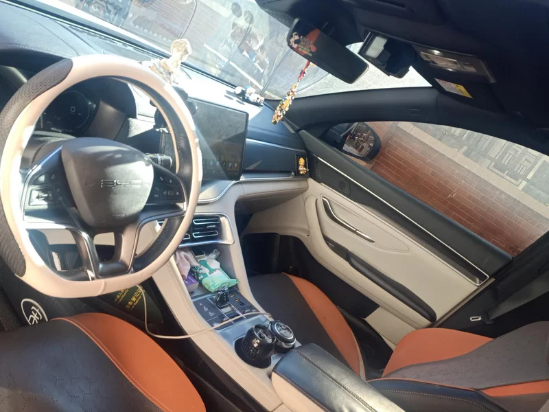 BYD Song Plus New Energy 2023 #9 BYD Song Plus New Energy 2023 car image #9