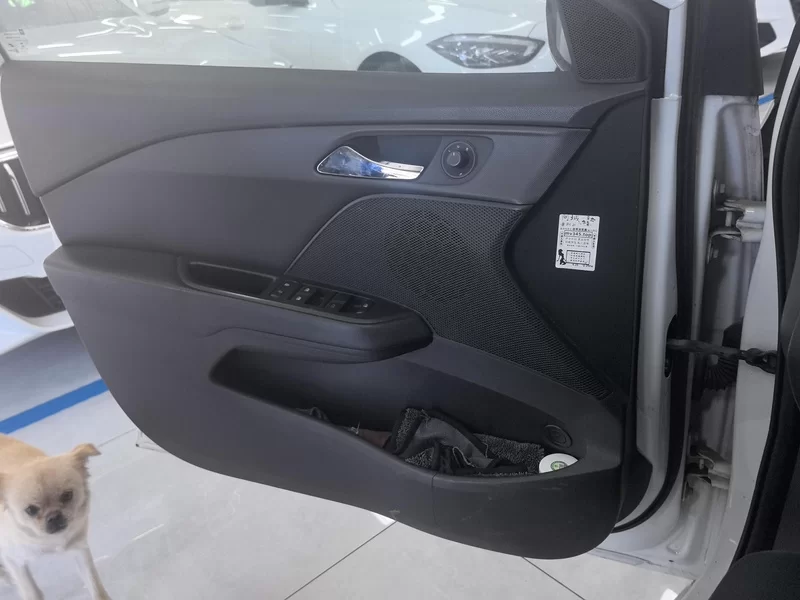 Chevrolet Cavalier 2017 car image #9