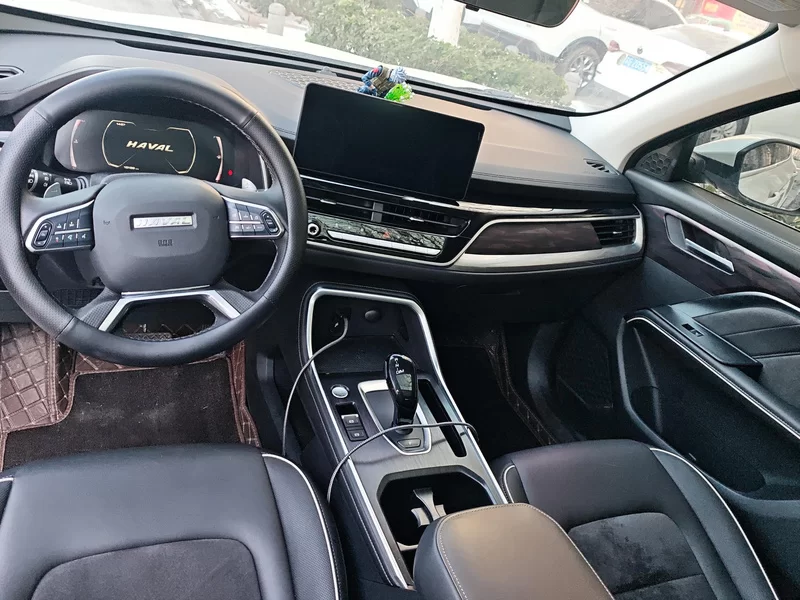 Haval H6 2024 car image #9