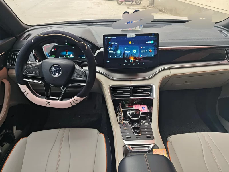 BYD Song Plus New Energy 2022 car image #9