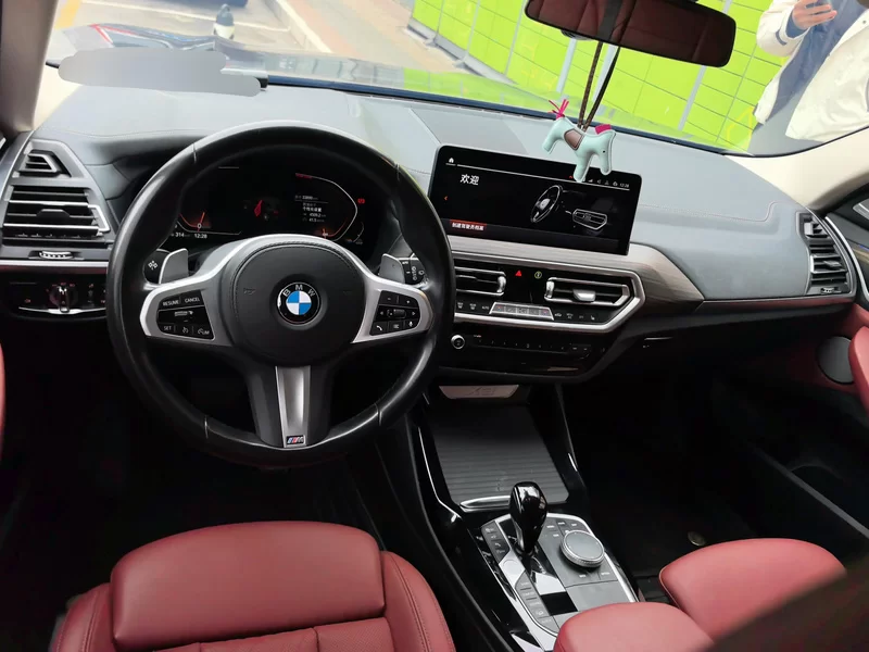 X3 2022 #9 X3 2022 immagine di auto #9
