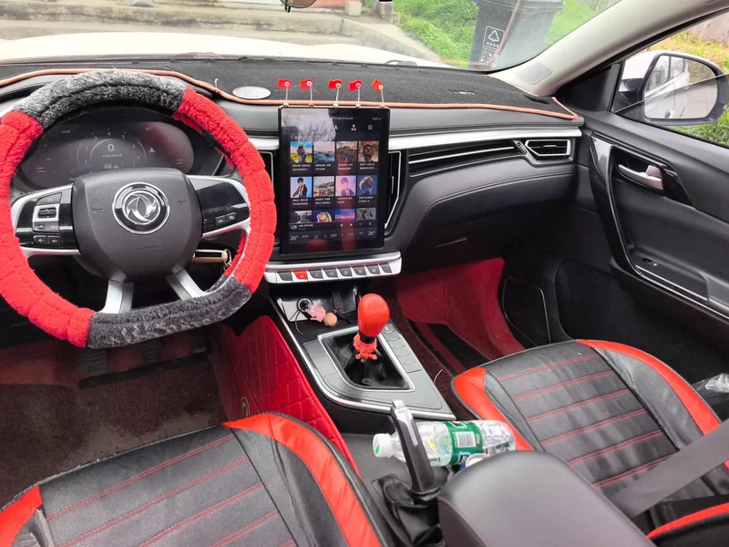 Forthing T5 2020 car image #9