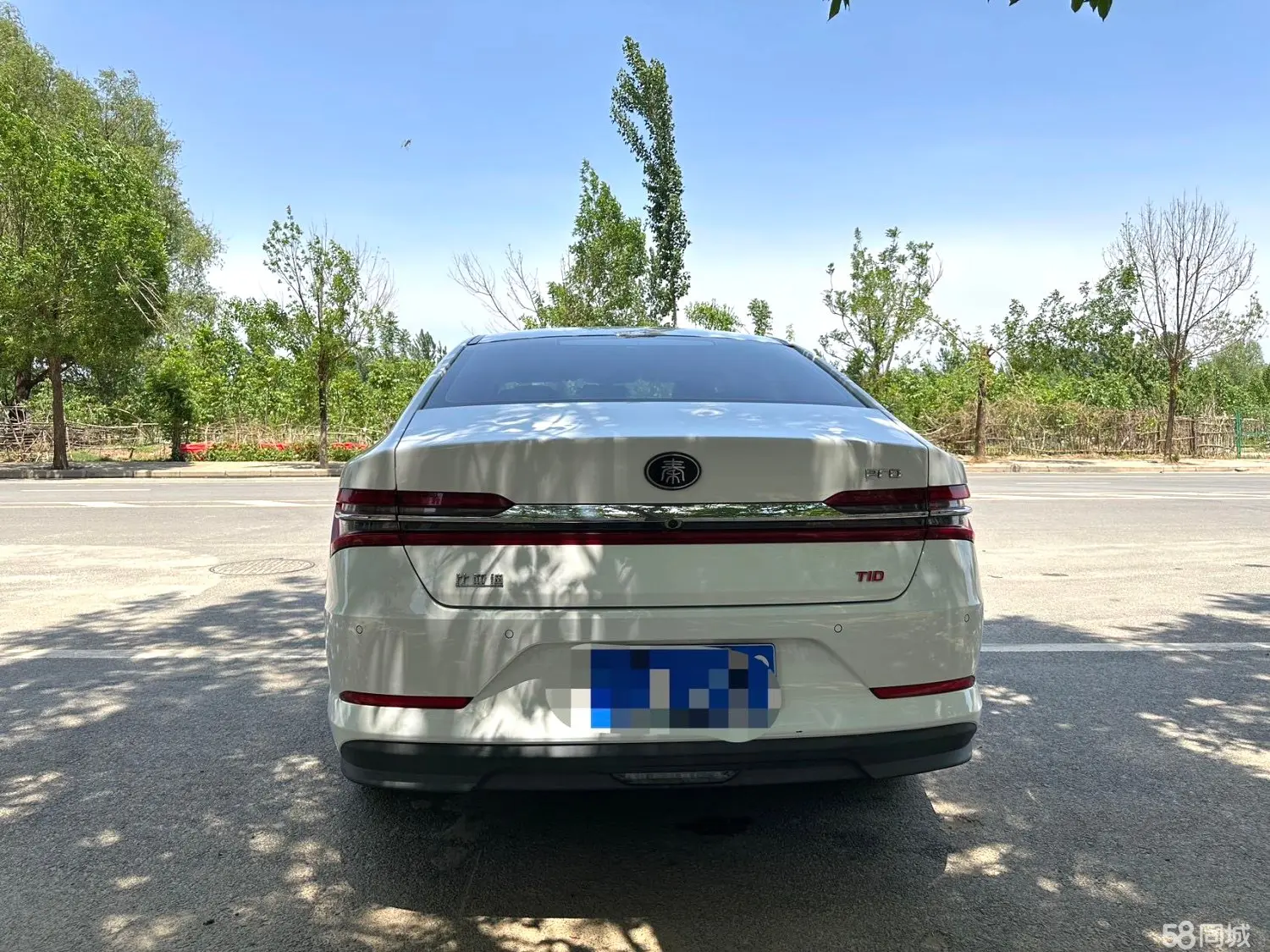 BYD Qin Pro 2018 immagine di auto #9