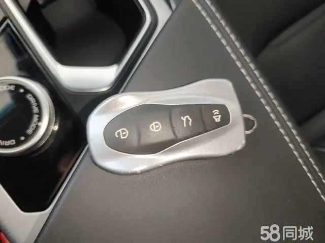 GEELY Tugella 2019 car image #9