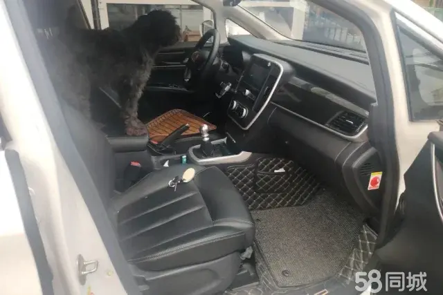 BYD Song MAX 2018 #9 BYD Song MAX 2018 car image #9