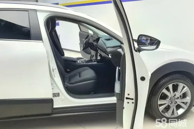 Mazda CX-30 EV 2020 imagen de coche #9