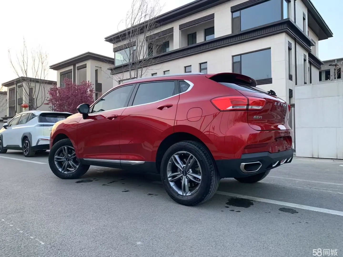 Haval F5 2019 car image #9