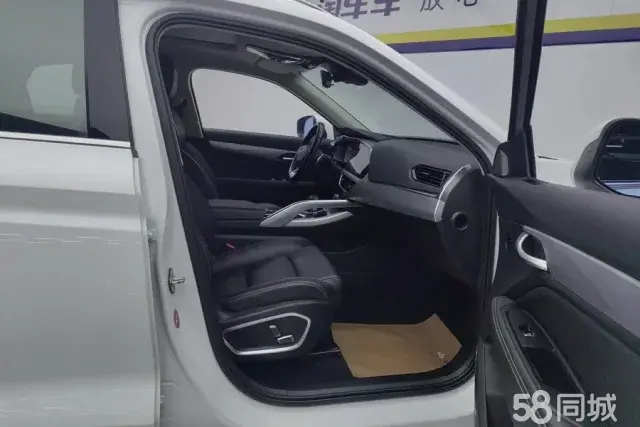 GEELY Tugella 2019 #9 GEELY Tugella 2019 car image #9