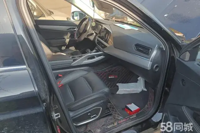 GEELY Tugella 2020 car image #9