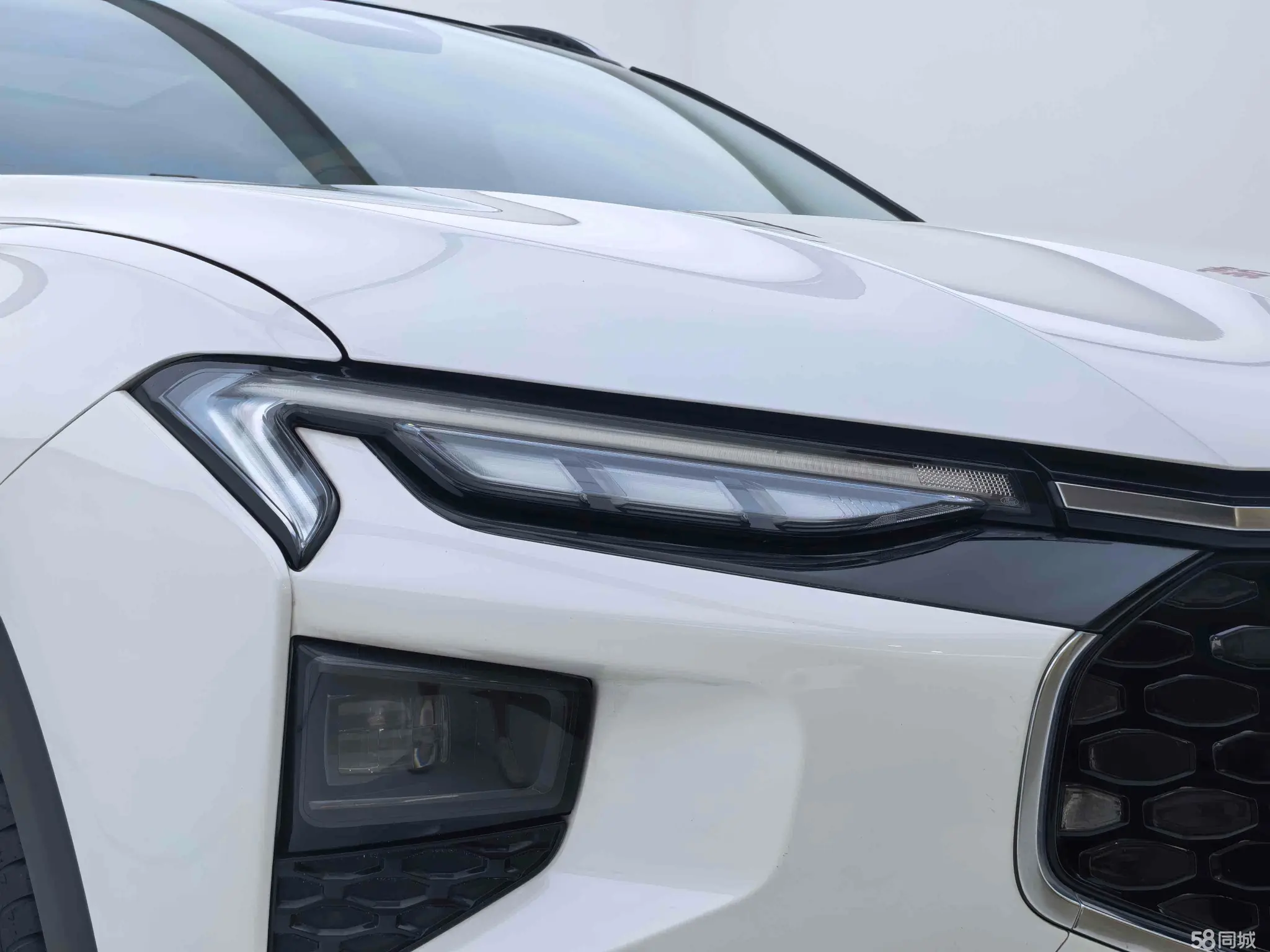 Ford Evos 2022 car image #9