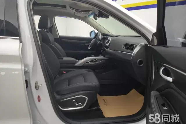 GEELY Tugella 2020 car image #9