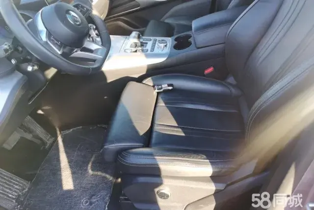 Denza X 2020 car image #9