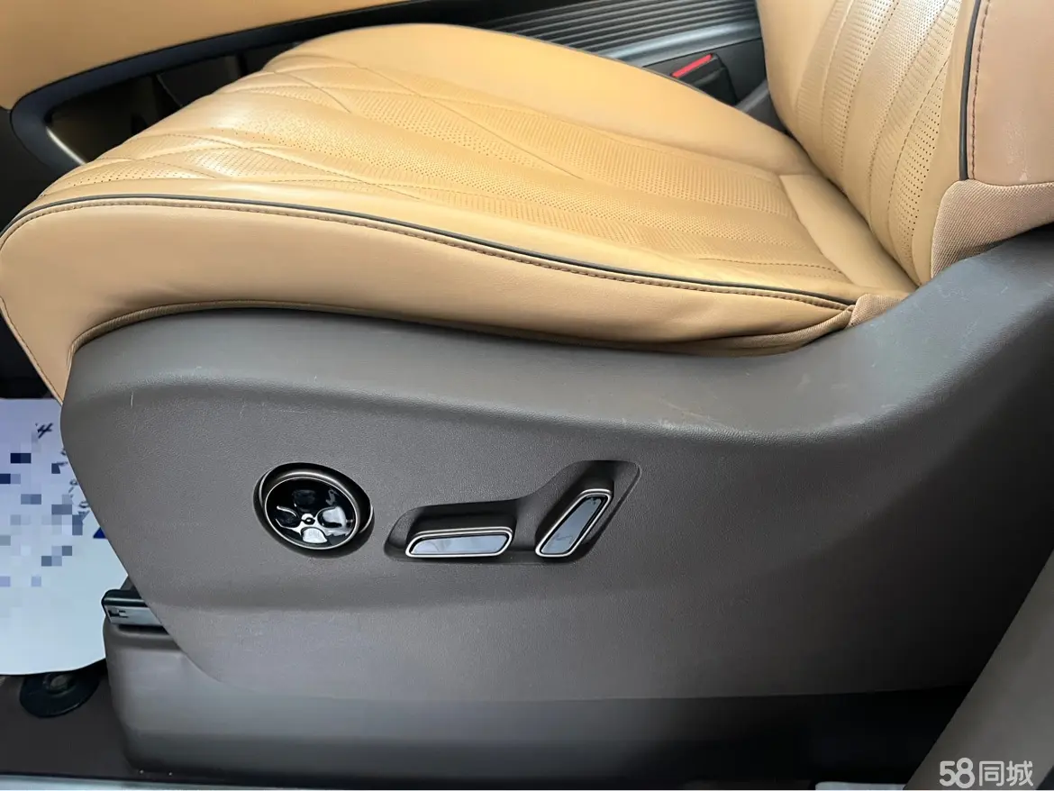 Denza D9 2023 car image #9