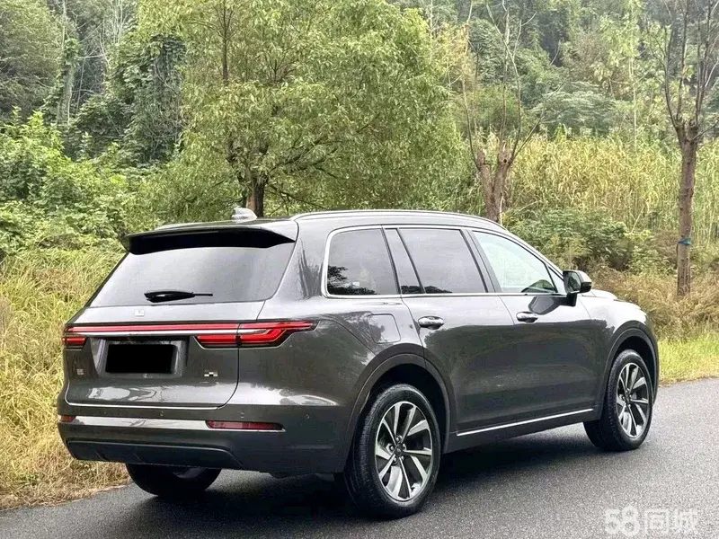 Li One 2021 imagen de coche #9