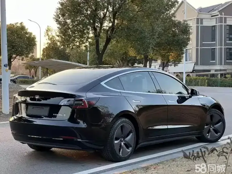 Tesla Model 3 2020 car image #9