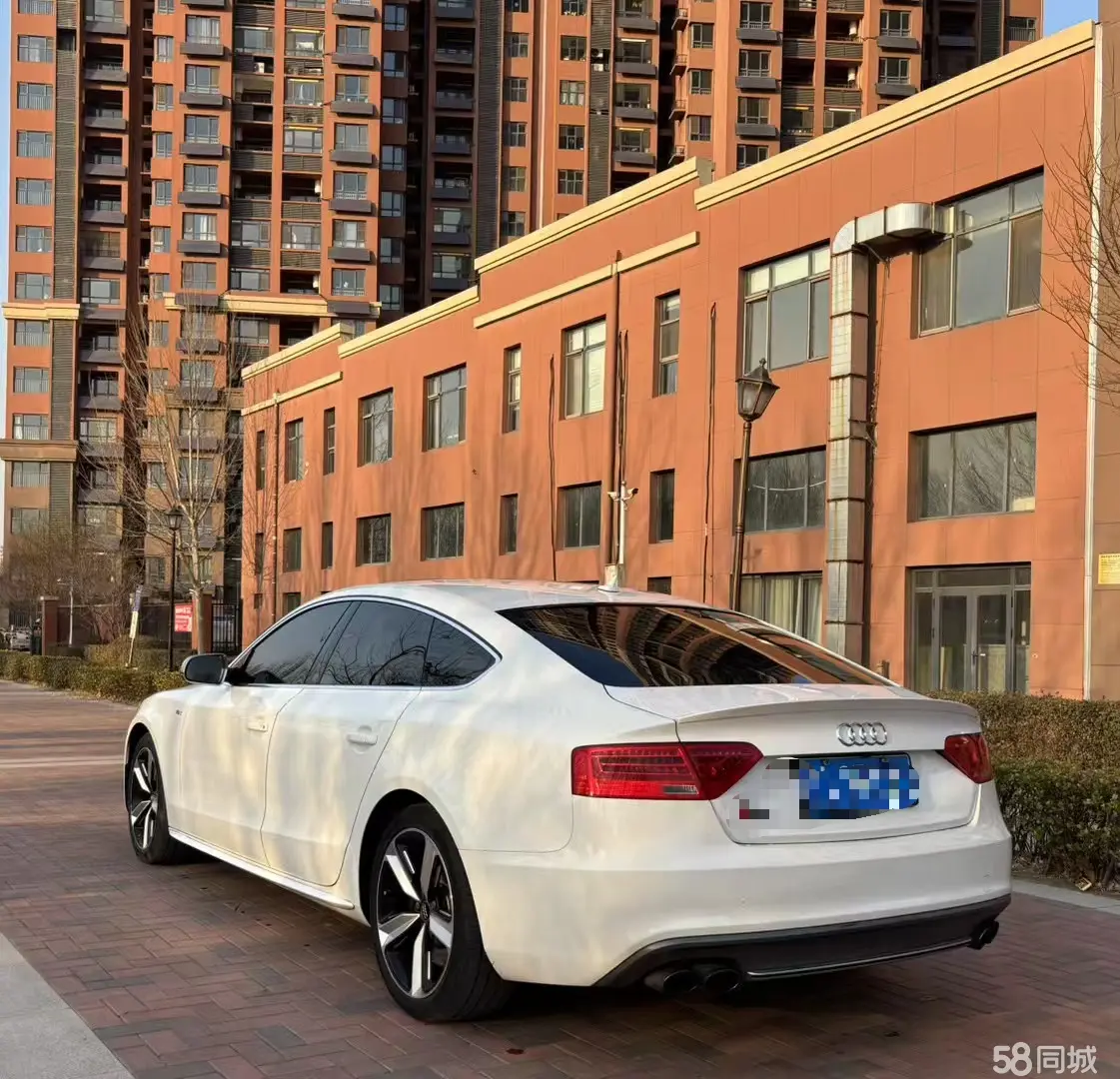 Audi S5 2023 #9 Audi S5 2023 car image #9