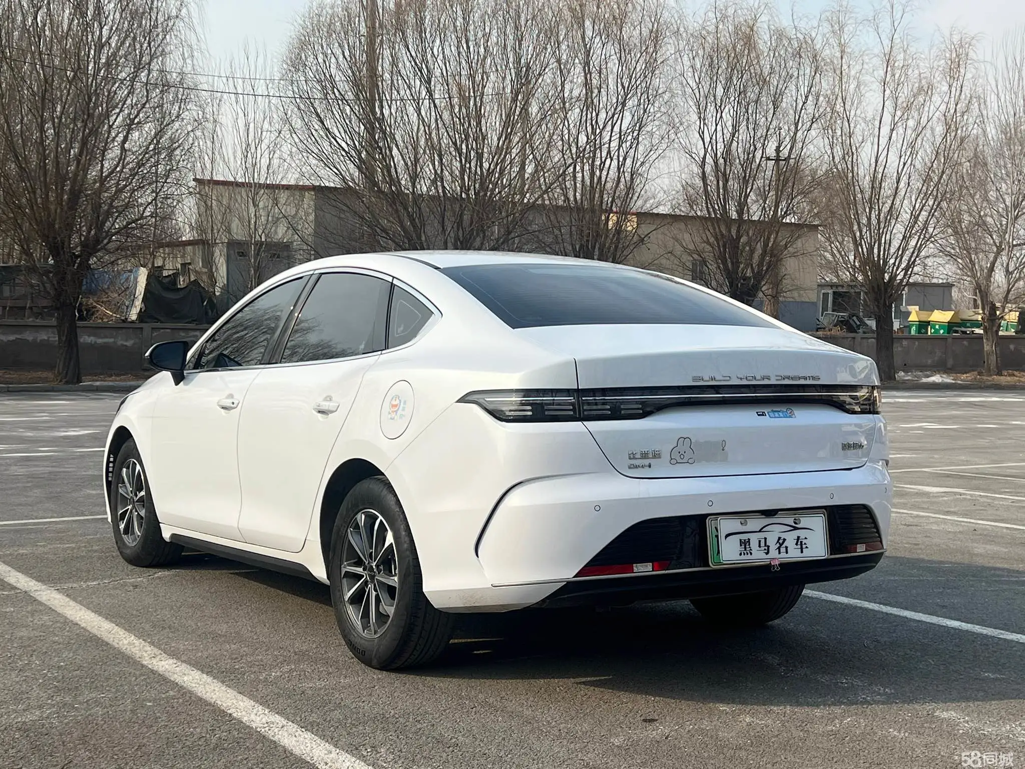 BYD Destroyer 05 2025 imagen de coche #9