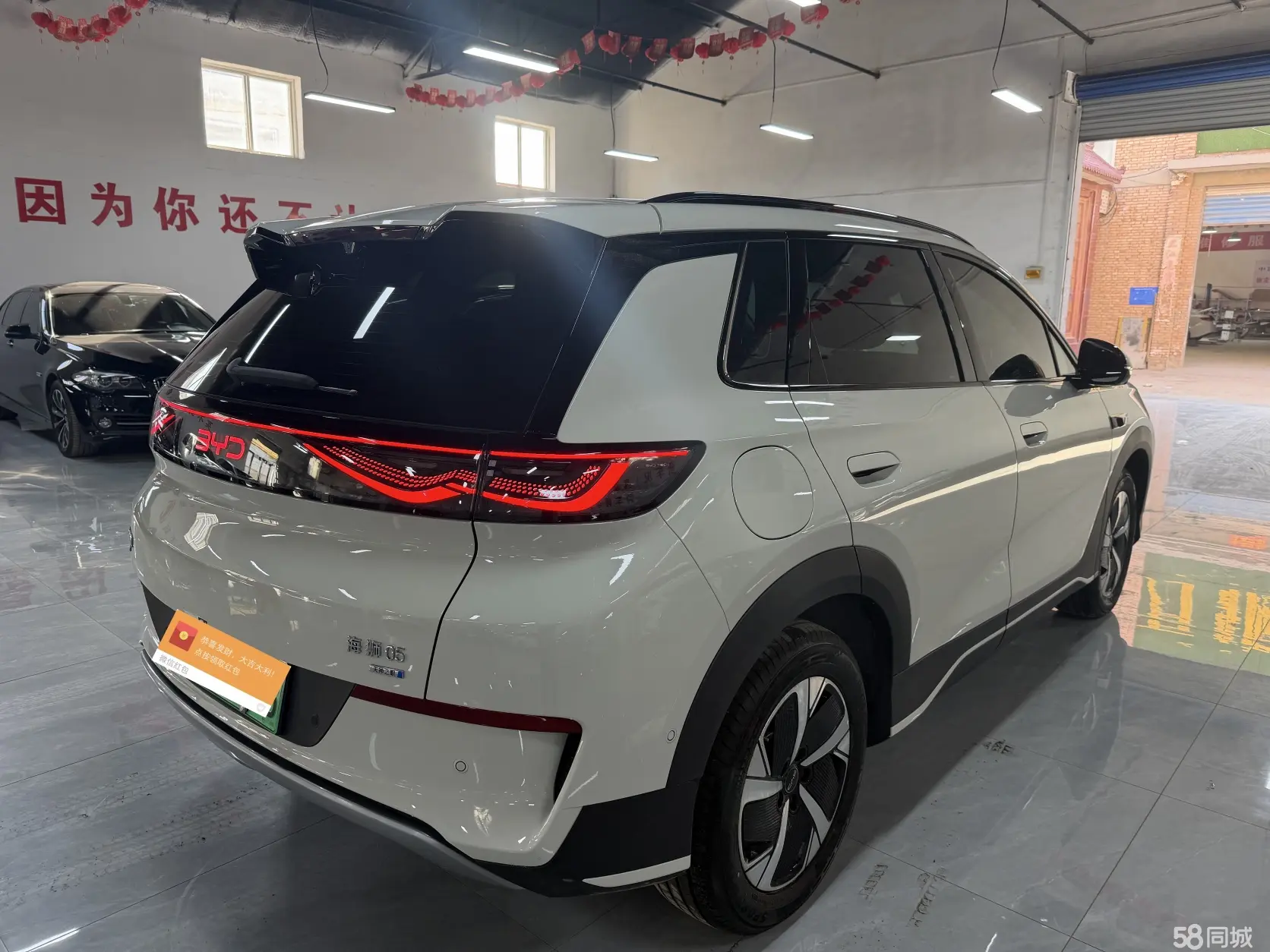 BYD Sea Lion 05 EV 2025 car image #9