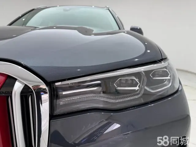 BMW X7 2020 immagine di auto #9