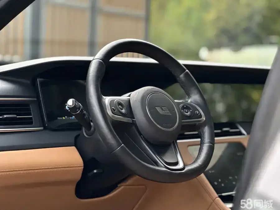 Li One 2020 imagen de coche #9