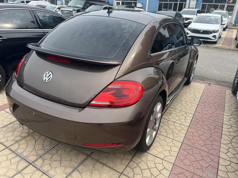 大众 甲壳虫 2016 汽车图片 #9